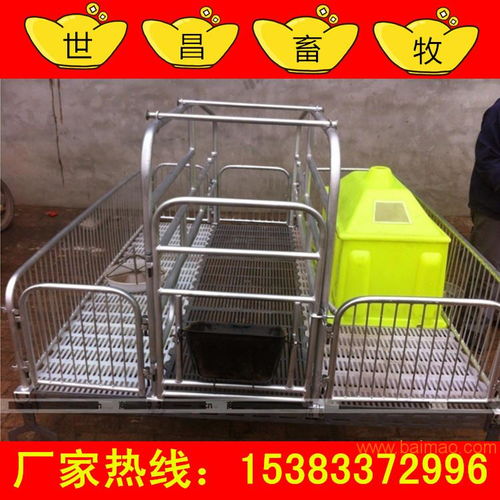 養豬必備設備 弘昌廠家母豬雙體產床讓利銷售，助力高效養殖
